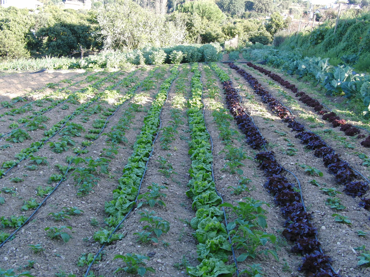 La calidad de los productos del Guadalhorce se muestra a los mdicos malagueos 